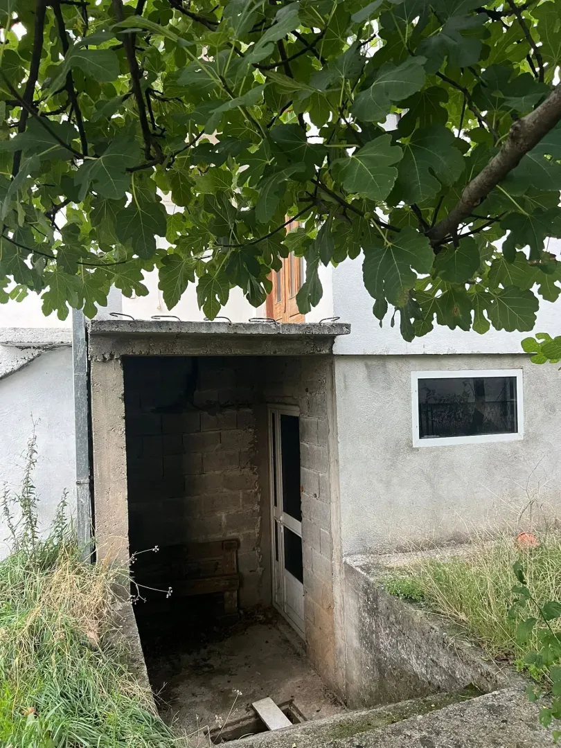Ulaz u suterenski dio kuće pod lozom.
