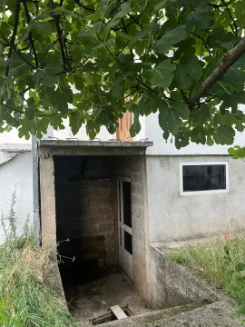 Ulaz u suterenski dio kuće pod lozom. - image 4