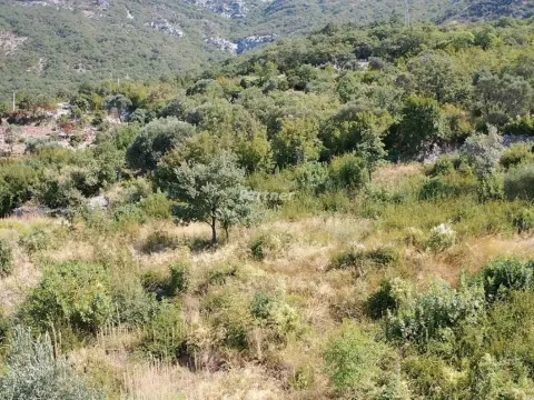 Sale, land lot, 11m², Sutomore, Bar