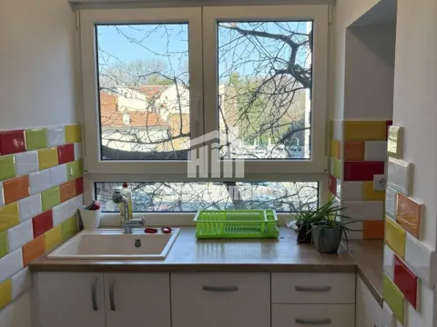 Izdavanje, dvosoban stan, 59m², Botanička Bašta, Palilula Sve Podlokacije - image 5