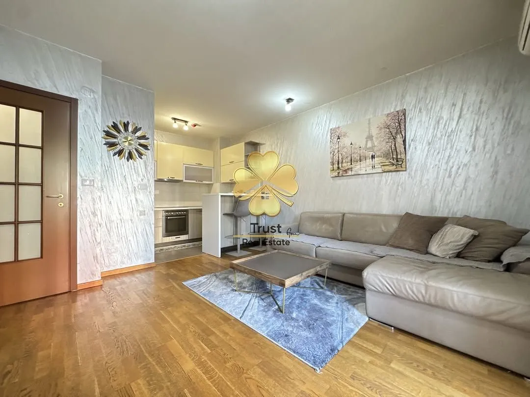 Rent, one bedroom apartment, 55m², City Kvart, Podgorica