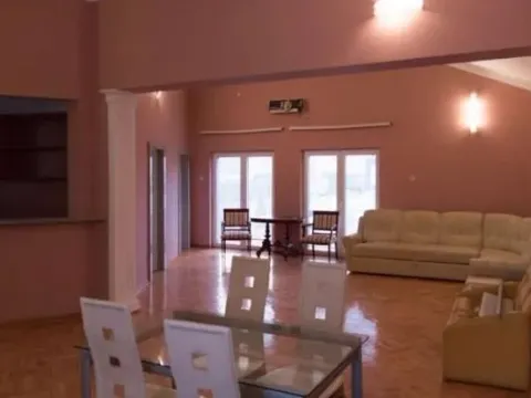 Izdavanje, poslovni prostor, 260m², Ledine, Beograd - image 7