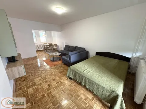 Rent, one bedroom apartment, 45m², Lion, Zvezdara Sve Podlokacije - image 14