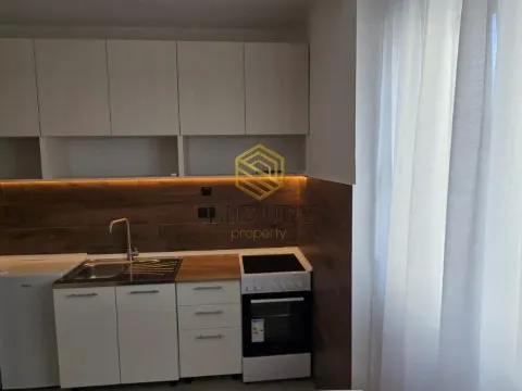 Izdavanje, jednosoban stan, 32m², Zabjelo, Podgorica - image 6