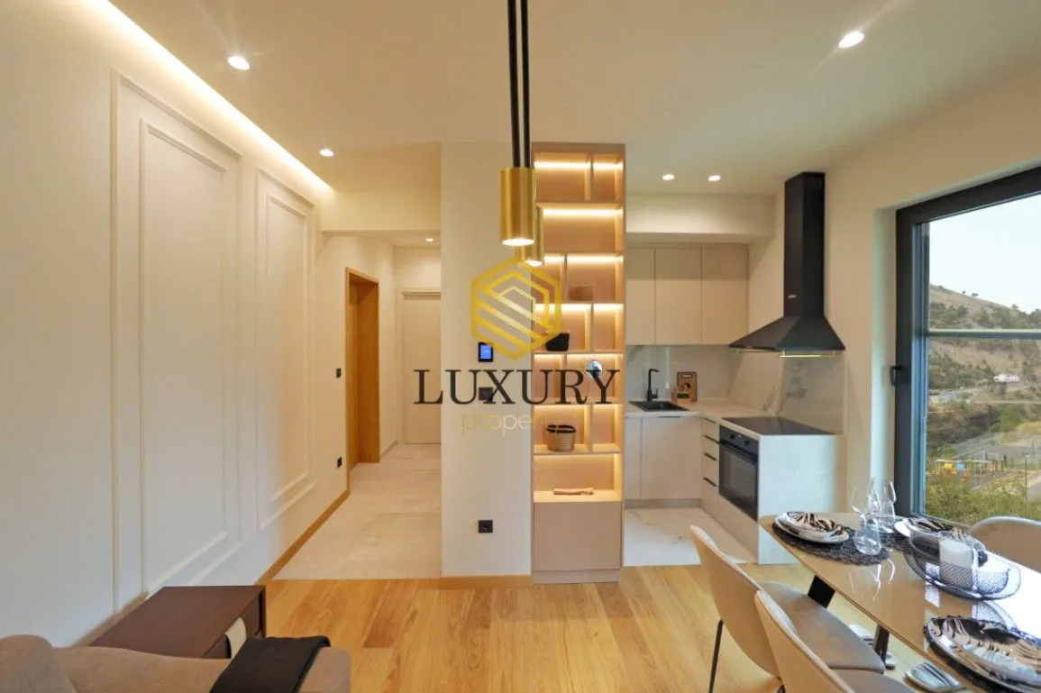 Izdavanje, jednosoban stan, 45m², Zagorič, Podgorica