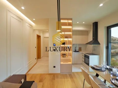 Izdavanje, jednosoban stan, 45m², Zagorič, Podgorica - image 8