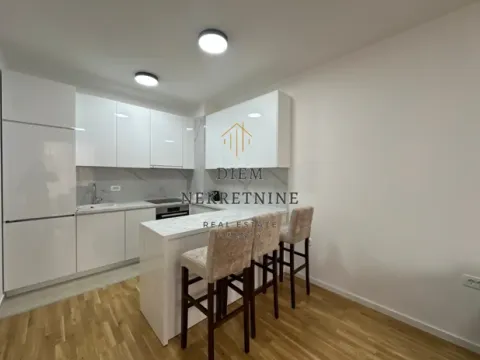 Izdavanje, dvosoban stan, 65m², Stari Aerodrom, Podgorica - image 8