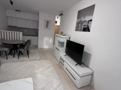 Rent, one bedroom apartment, 45m², Zabjelo, Podgorica - image 2