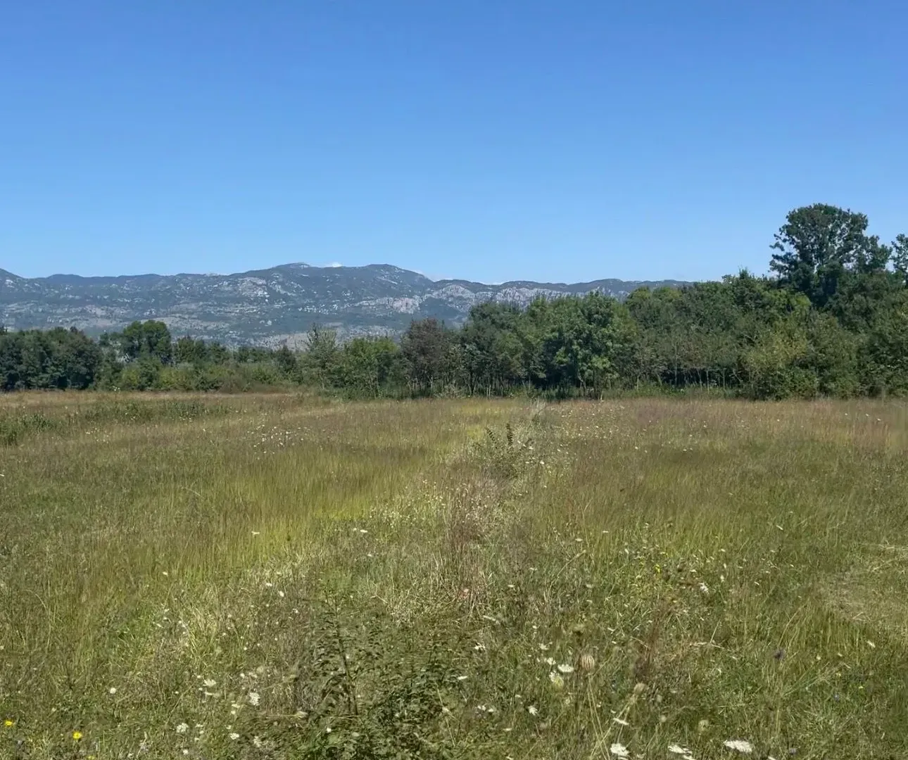 Sale, land lot, 3116m², Jastreb, Danilovgrad