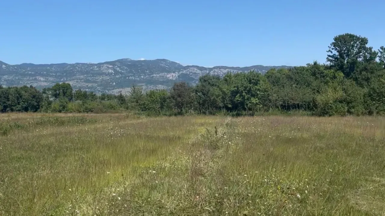 Sale, land lot, 3116m², Jastreb, Danilovgrad