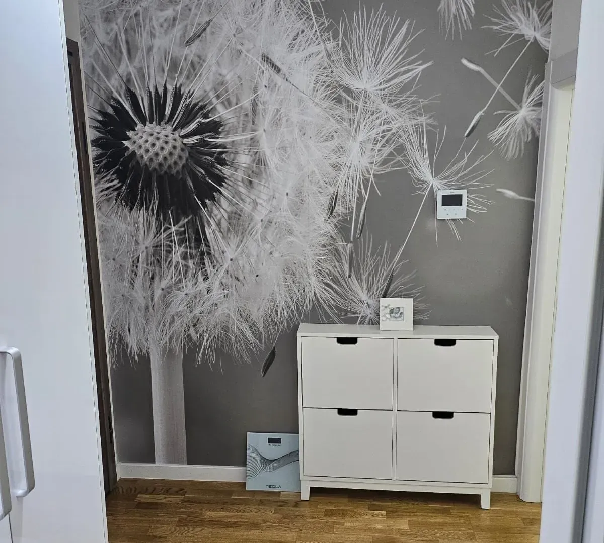 Rent, one bedroom apartment, 46m², Zabjelo, Podgorica