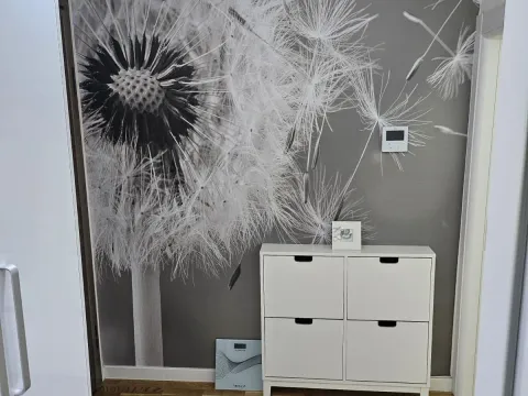 Rent, one bedroom apartment, 46m², Zabjelo, Podgorica - image 3