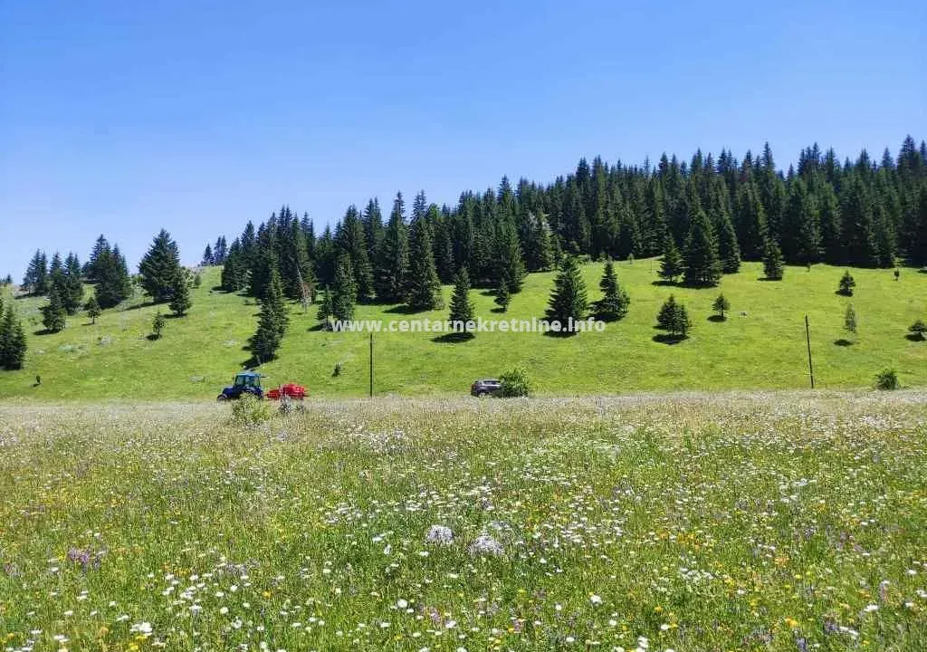 Prodaja, plac, 18883m², Žabljak, Crna Gora