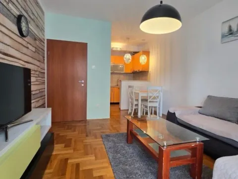 Izdavanje, jednosoban stan, 42m², Zabjelo, Podgorica - image 13
