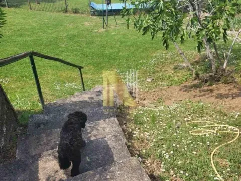 Prodaja, kuća, 77m², Čerević, Beočin - image 2