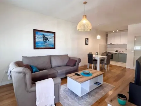 Izdavanje, jednosoban stan, 50m², Central Point, Podgorica