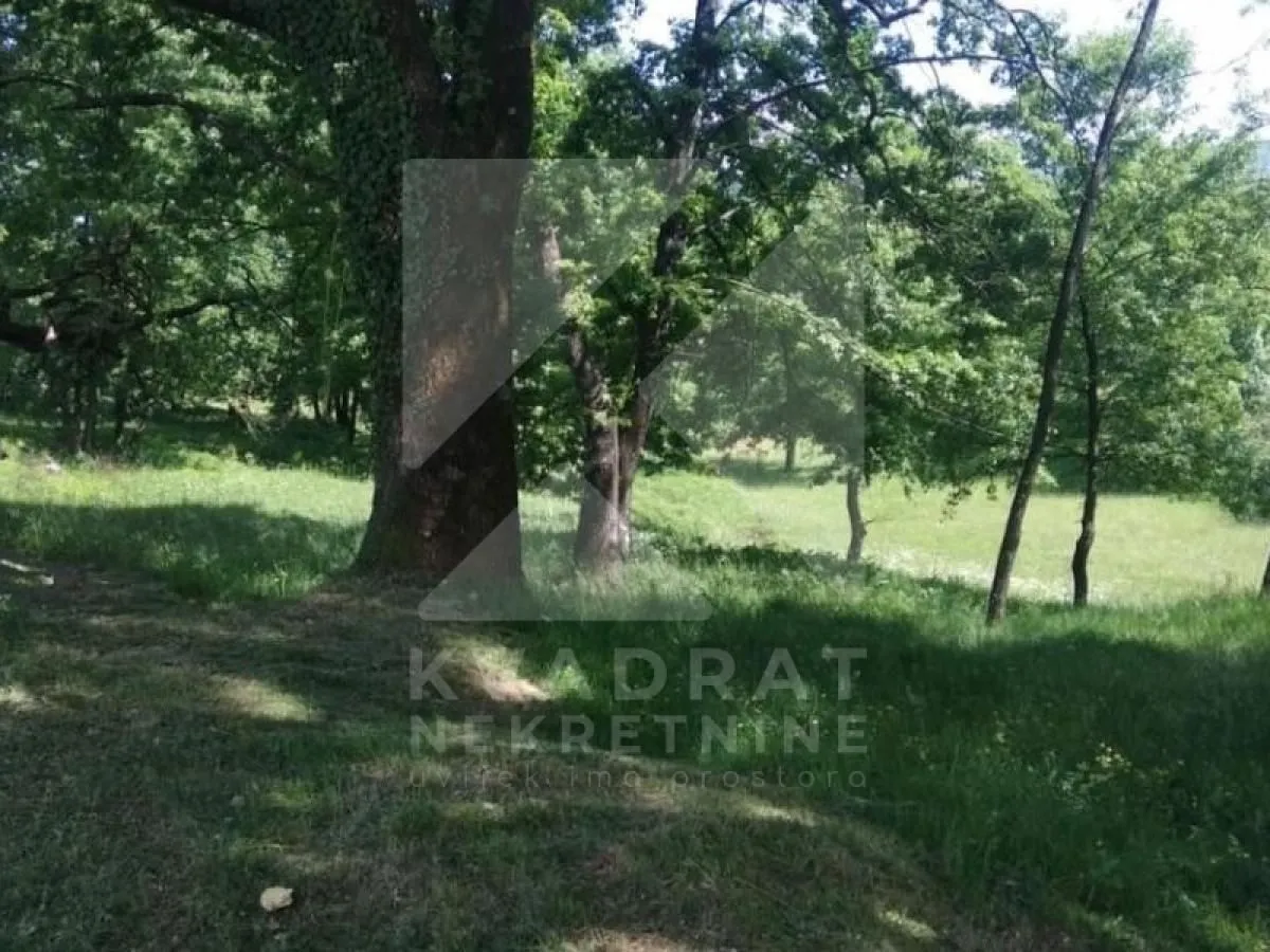 Prodaja, plac, 6500m², Pričelje, Podgorica