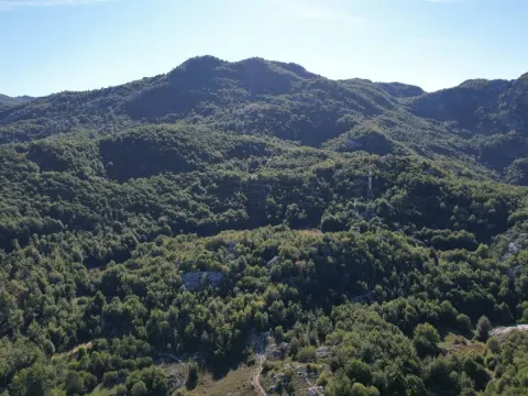 Sale, land lot, 136850m², Cetinje, Crna Gora - image 3