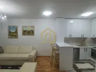 Izdavanje, dvosoban stan, 50m², Hala Pionir, Palilula Sve Podlokacije - image 4