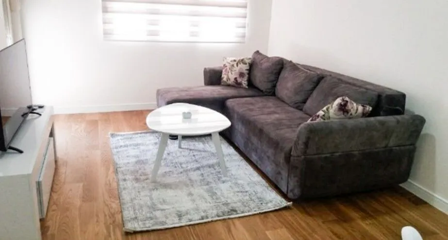 Izdavanje, jednosoban stan, 50m², Central Point, Podgorica