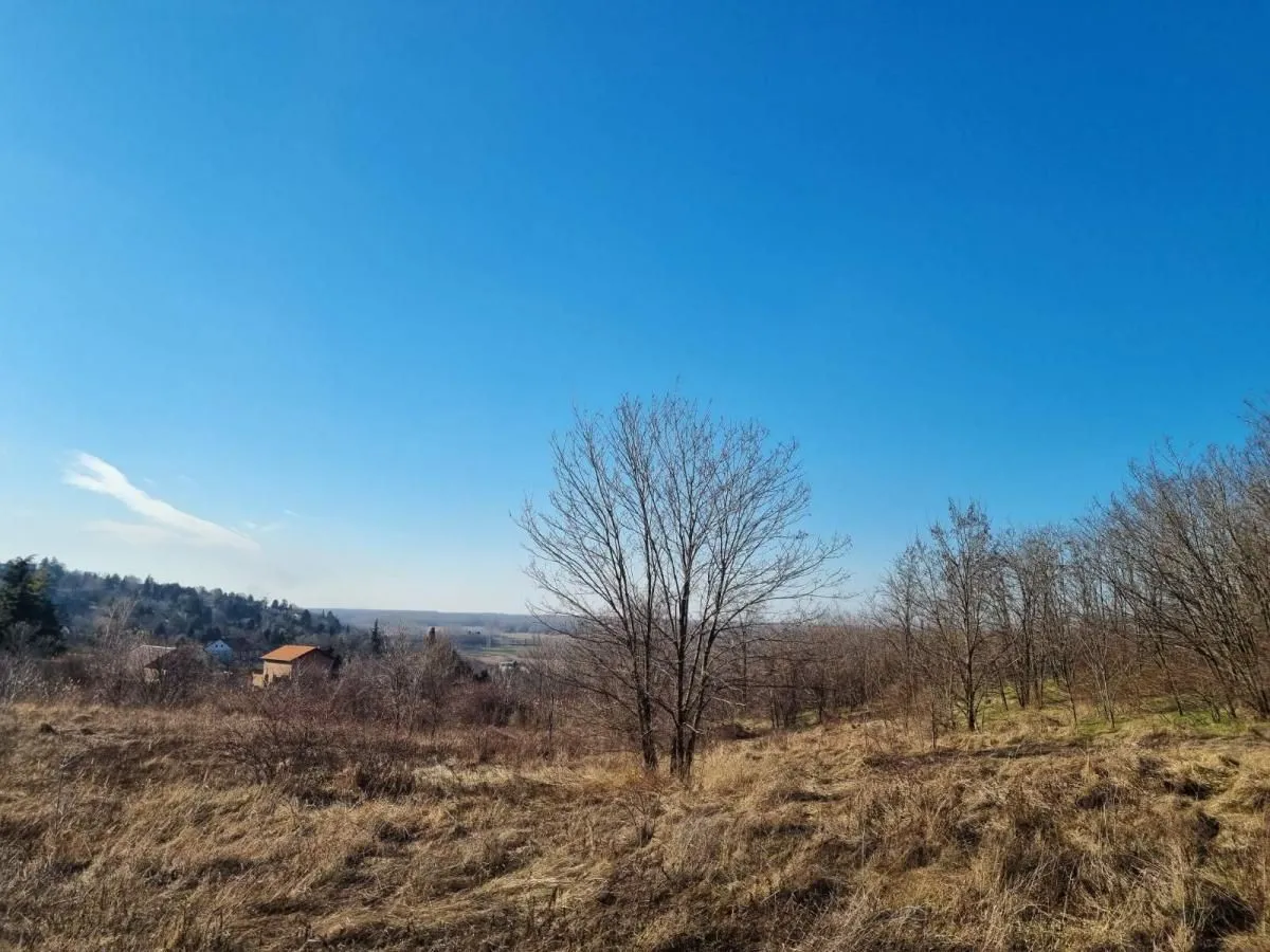 Prodaja, plac, 4952m², Ledinci, Petrovaradin