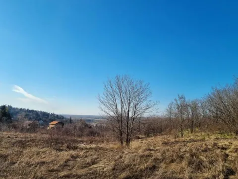 Sale, land lot, 4900m², Ledinci, Petrovaradin - image 3