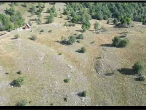 Sale, land lot, 13808m², Gornje Lipovo, Kolašin - image 5