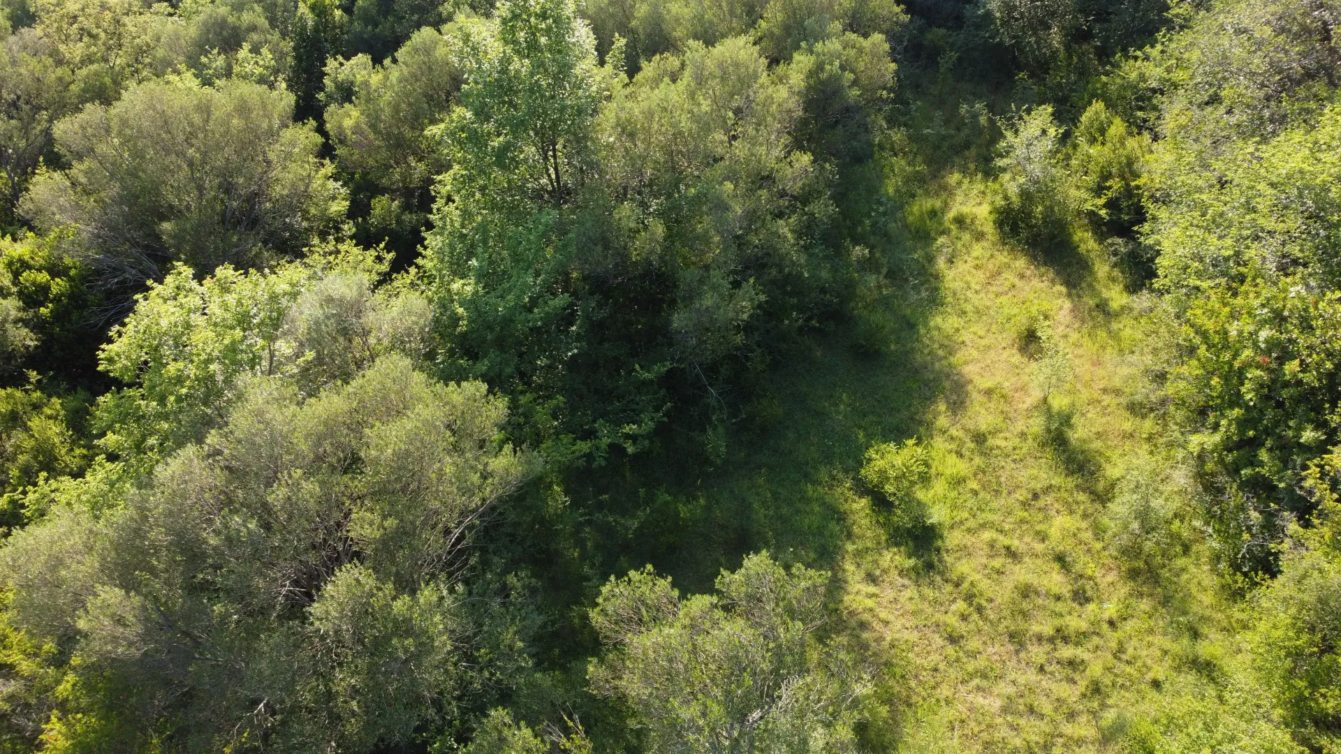 Prodaja, plac, 8000m², Mojdež, Herceg Novi