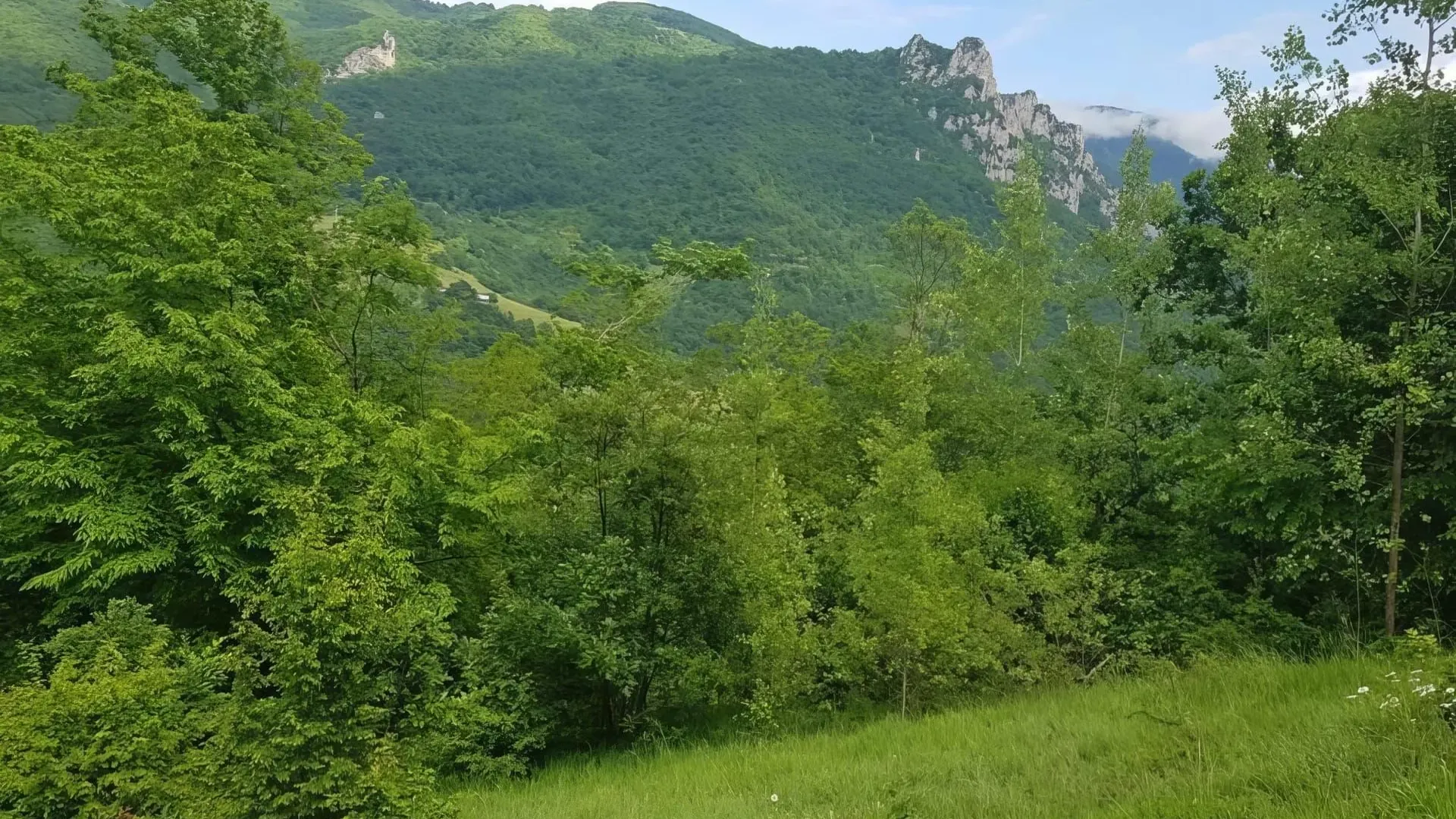 Prodaja, plac, 23425m², Plužine, Crna Gora