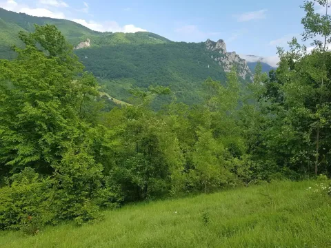 Prodaja, plac, 23425m², Plužine, Crna Gora - image 6