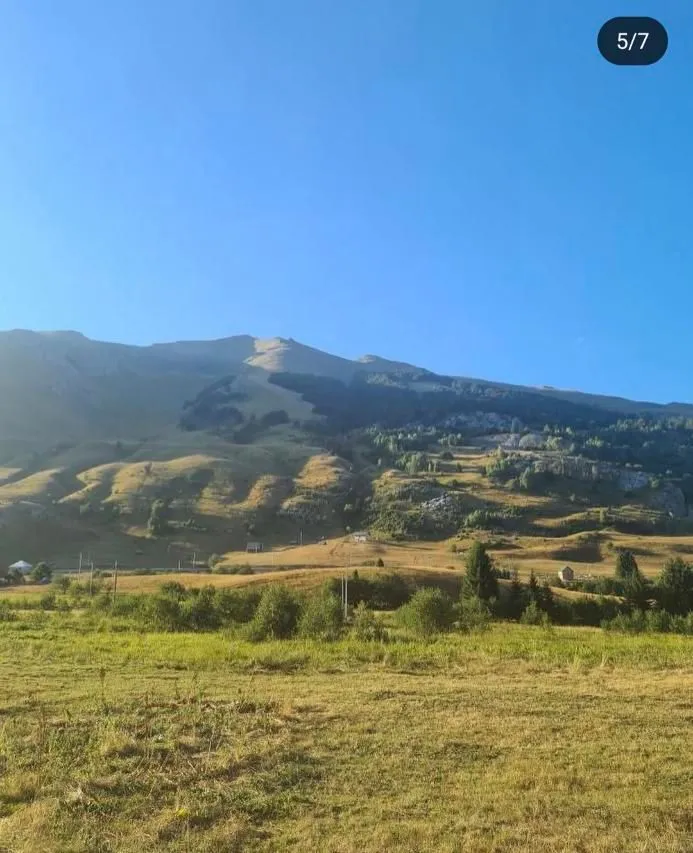 Prodaja, plac, 10000m², Berane, Crna Gora