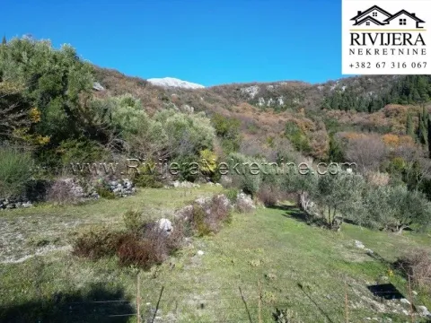 Prodaja, plac, 2430m², Trebesinj, Herceg Novi - image 2