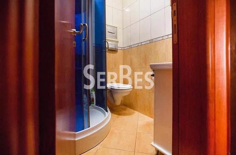 Sale, house, 300m², Betanija, Novi Sad Sve Podlokacije