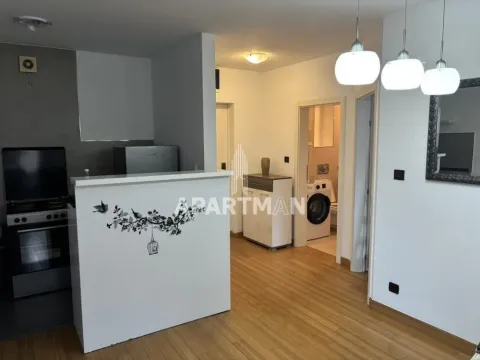 Rent, two bedroom apartment, 57m², Banovo Brdo, Beograd - image 3