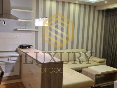 Izdavanje, jednosoban stan, 50m², Ljubović, Podgorica - image 12