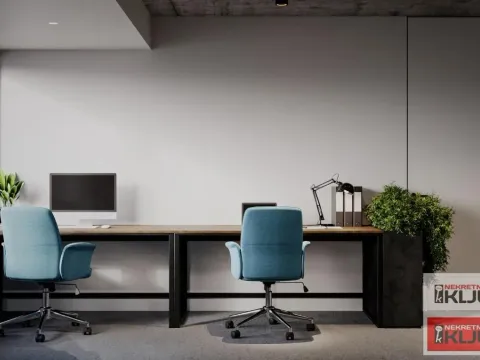Izdavanje, poslovni prostor, 279m², Bulevar Oslobodjenja, Novi Sad Sve Podlokacije - image 2
