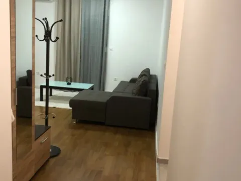 Izdavanje, jednosoban stan, 48m², Zabjelo, Podgorica - image 12