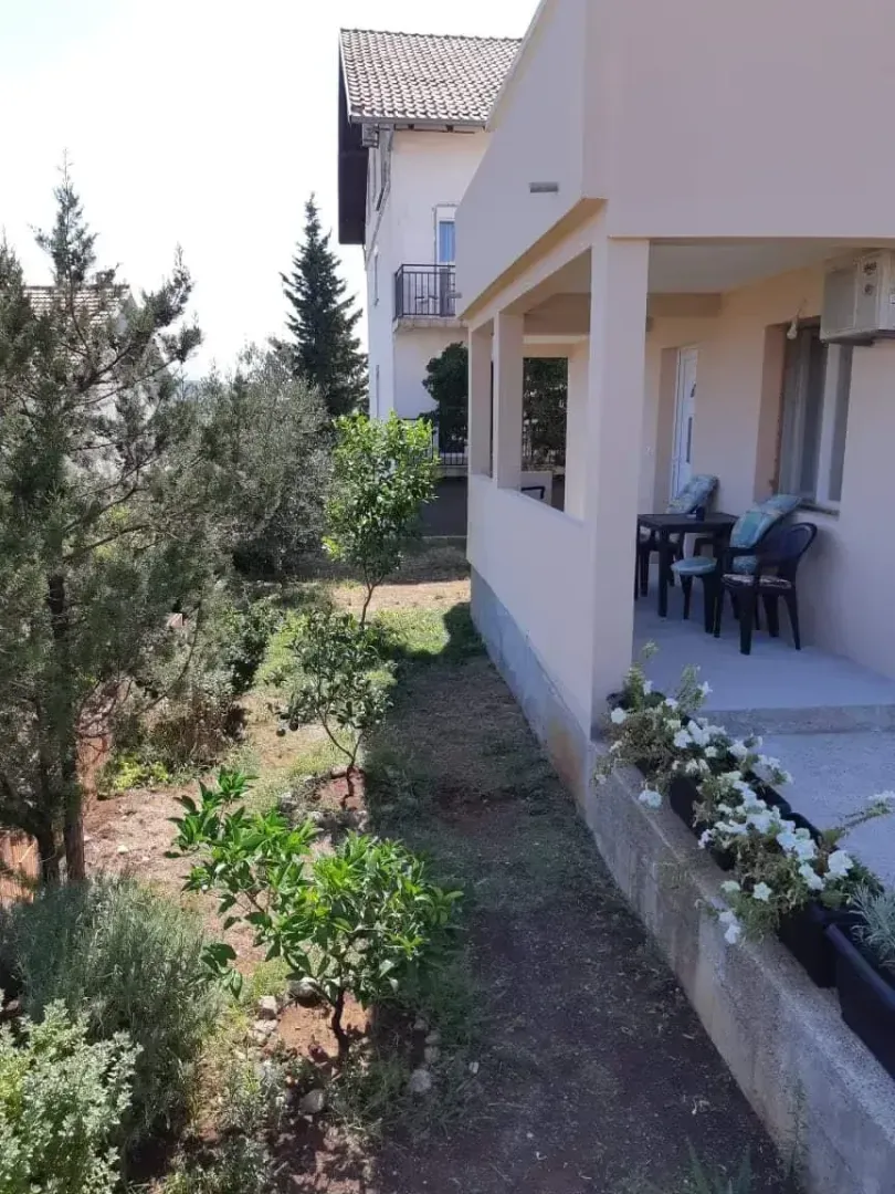 Pogled na dvorište i natkrivenu terasu kuće sa zelenilom.