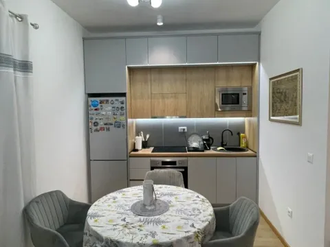 Izdavanje, jednosoban stan, 40m², Tološi, Podgorica - image 4