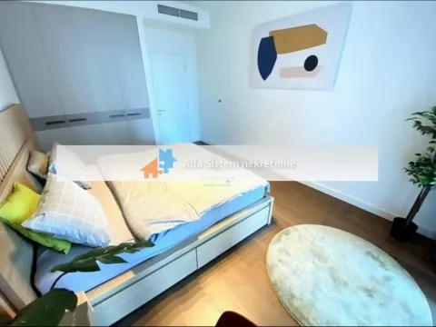 Izdavanje, dvosoban stan, 71m², Savski Venac, Beograd - image 10