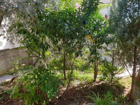 Rent, one bedroom apartment, 50m², Seljanovo, Tivat - image 17