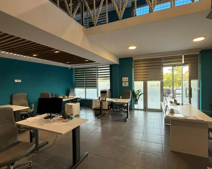 Izdavanje, poslovni prostor, 245m², Krivi Most, Podgorica