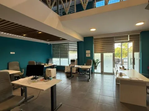 Izdavanje, poslovni prostor, 245m², Krivi Most, Podgorica