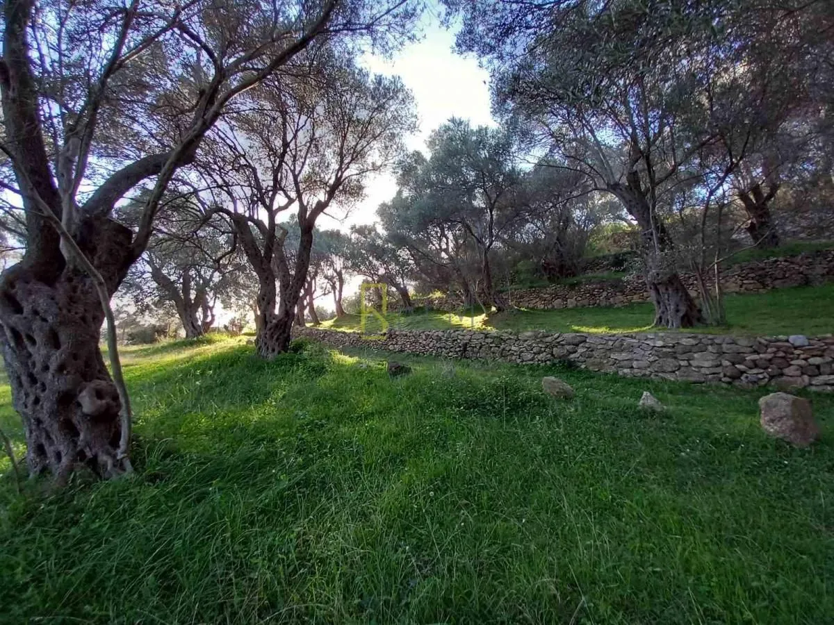 Prodaja, plac, 5000m², Ulcinj, Crna Gora