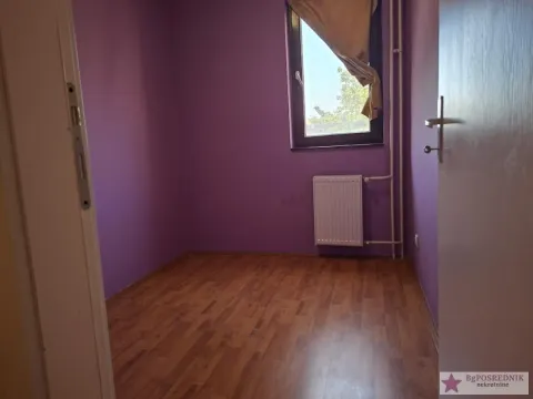 Rent, one bedroom apartment, 45m², Borča 1, Borča Sve Podlokacije - image 3