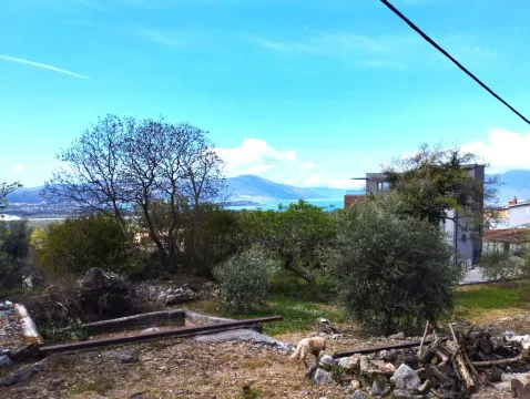 Sale, land lot, 801m², Kotor, Crna Gora - image 1