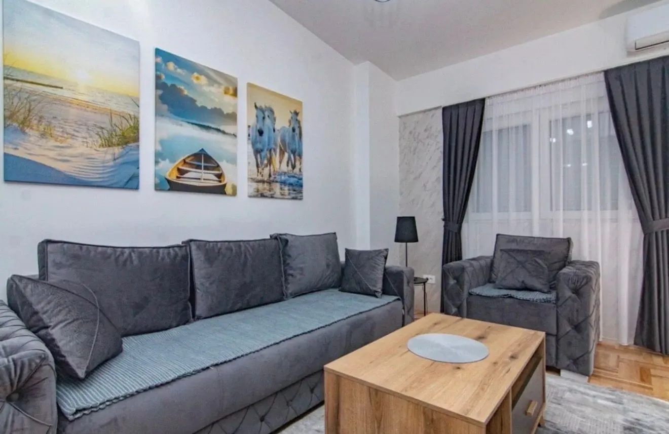 Rent, one bedroom apartment, 45m², Tuški Put, Podgorica