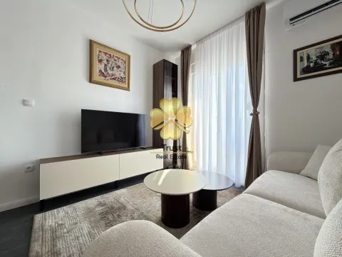 Rent, one bedroom apartment, 45m², Podgorica, Crna Gora - image 4
