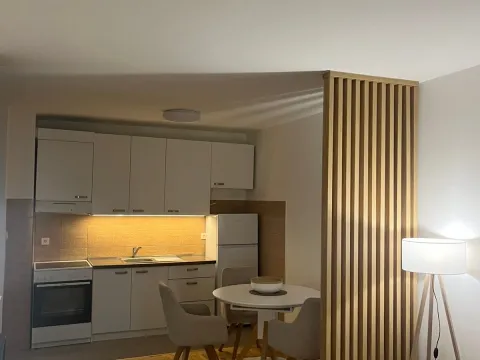 Rent, one bedroom apartment, 42m², Krivi Most, Podgorica - image 4