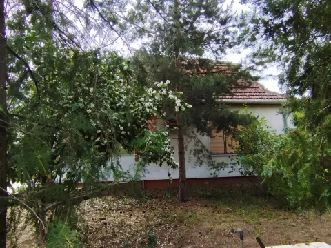 Sale, house, 111m², Zorka, Subotica - image 3